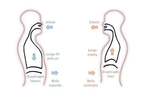 Benefits Of Deep Breathing Exercises - Vactrone