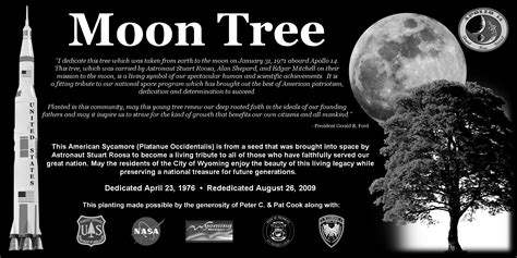 Wyoming, Michigan Moon Tree