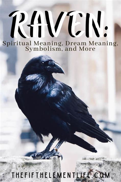 Raven: Spiritual Meaning, Dream Meaning, Symbolism & More in 2024 ...