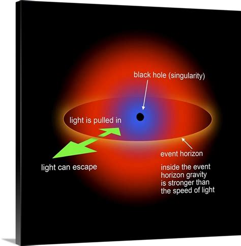 Black Hole Singularity Theory