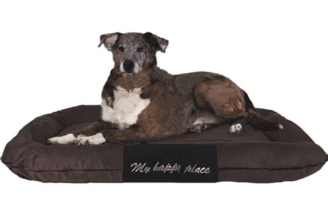 XXL Extra Large Durable Bolster Pet Dog Bed Waterproof Oxford Cover 54X37" Brown | eBay