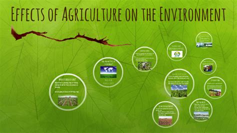 💐 How agriculture affects the environment. Agriculture and the environment. 2022-12-22