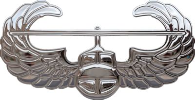 Chrome US Army Air Assault Badge by WyckedDreamz on DeviantArt