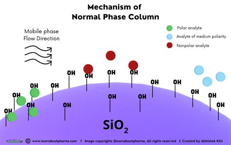 HPLC Columns – Definition, Principle, Types, and Maintenance