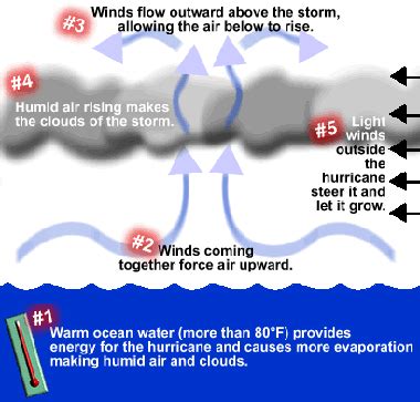 How Hurricanes Form - Windows to the Universe