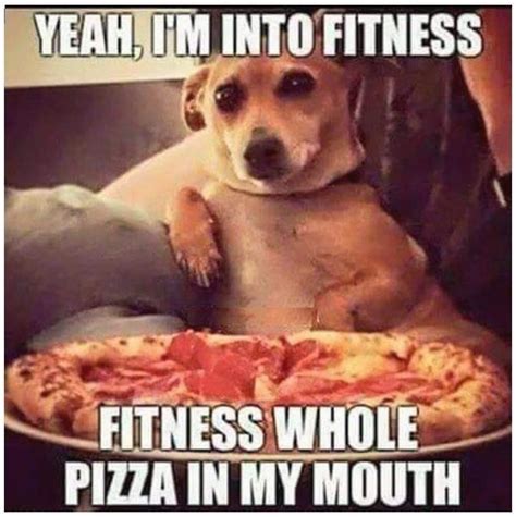 Elevated Feeding Tray Check this out>>> http://amzn.to/2c2zaCm | Pizza quotes funny, Funny dog ...