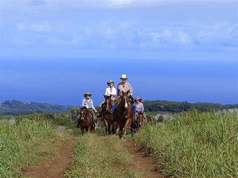 5 cool Horseback Riding tours in Maui, Hawaii