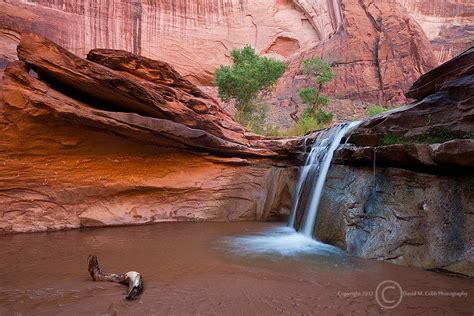 Coyote Gulch | Waterfall, Nature images, Capitol reef national park