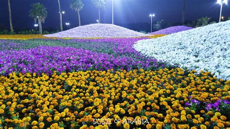 Jeddah Daily Photo: Our World: Yanbu Flower Festival