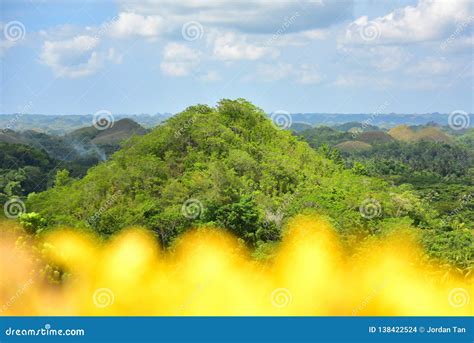 The Chocolate Hills Geological Formation in Philippines Stock Photo - Image of bohol, attraction ...