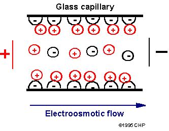 Definition of capillary_electrophoresis - Chemistry Dictionary