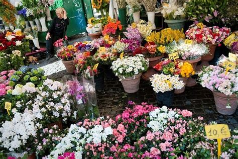 Bangkok Flower Market Map | Best Flower Site