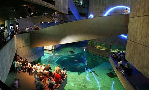 The Aquarium Baltimore - Chelsie Aquarium