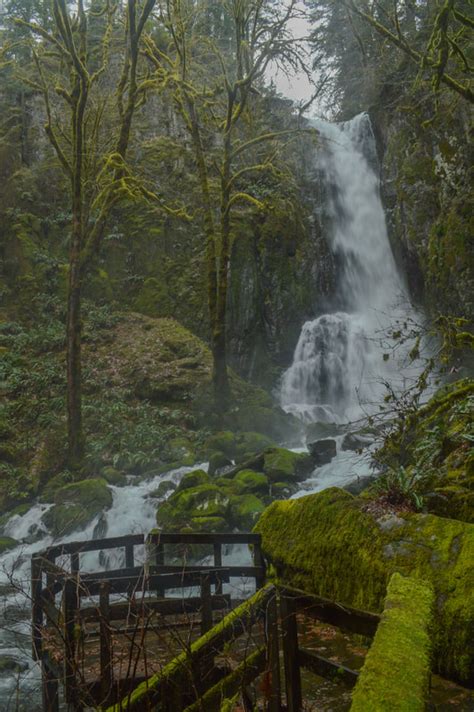 Kentucky Falls - Hike Oregon