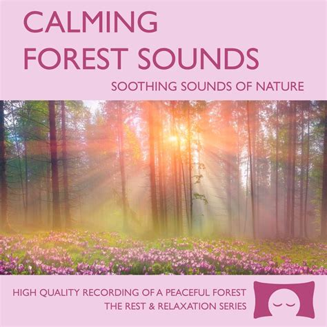 Calming Forest Sounds - Nature Sounds Recording - For Meditation ...