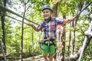 Treetop Trekking Activities (Brampton) | ToDoOntario