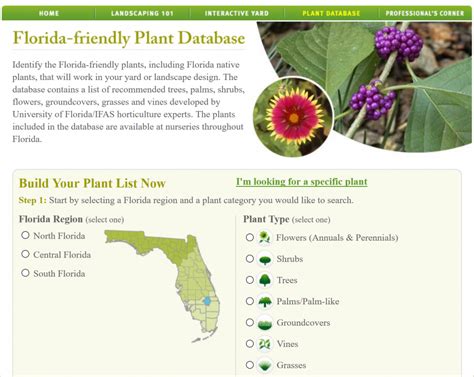 florida native plants | Gardening in the Panhandle