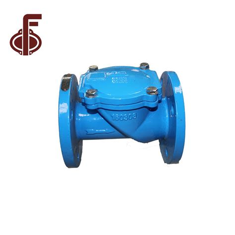 China Ductile Cast Iron Rubber Flap Check Valve Manufacturer and ...