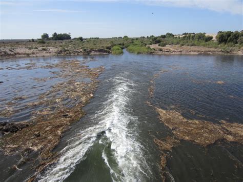 Colorado River Flows into the Delta - Pacific Institute