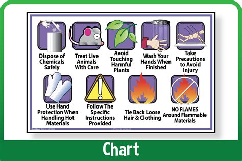 At a Glance™ Science Lab Safety – Lone Star Learning