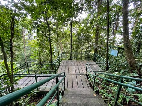 Cerro Tortuguero: Hiking an Inactive Volcano – Paradise Catchers