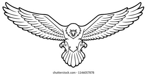 Bald Eagle Line Art: Over 1,201 Royalty-Free Licensable Stock Vectors & Vector Art | Shutterstock