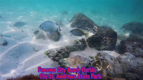 Snorkeling Panama City Beach Florida The St. Andrews Jetties GoPro Hero4+ Black - YouTube