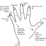 Hand Reflexology and Mudras – Learn Self Healing Techniques Online