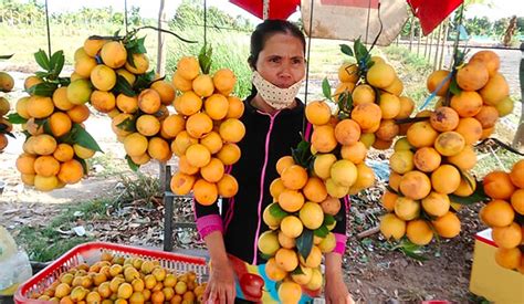 Quả thanh trà: Trái thanh trà có tác dụng gì và ăn như thế nào?