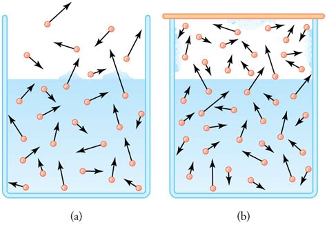 2.2C: Water’s Heat of Vaporization - Biology LibreTexts