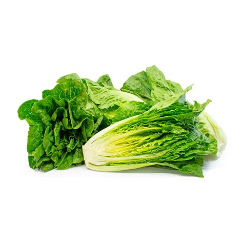 Romaine Lettuce • Farm to Doorstep