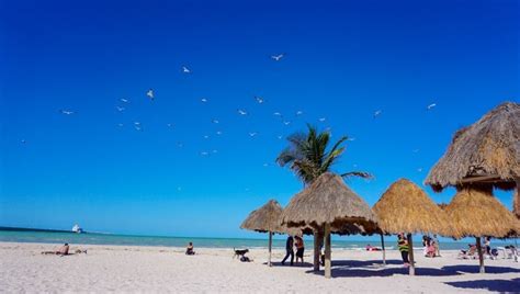 Progreso Beach: Soak in The Sun Near Merida