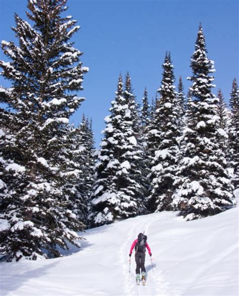 Guided Backcountry Skiing in Grand Teton, WY | 57hours