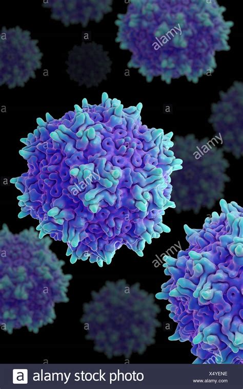 Adeno Associated Virus High Resolution Stock Photography and Images - Alamy