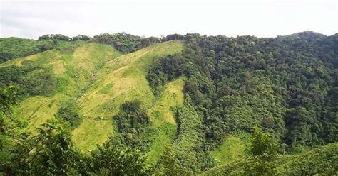 5 Wildlife Sanctuaries In Meghalaya One Must Definitely Visit In 2024