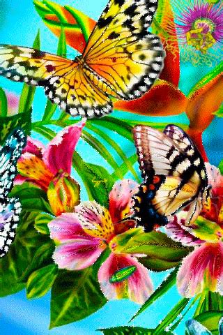 FaTiMa__Яркая природа Butterfly Gif, Butterfly Pictures, Butterfly Wallpaper, Madame Butterfly ...