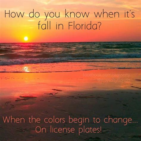 How do you know when it's fall in Florida | Florida funny, Florida ...