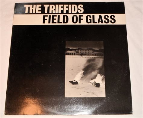 Triffids, The - Field Of Glass – Joe's Albums