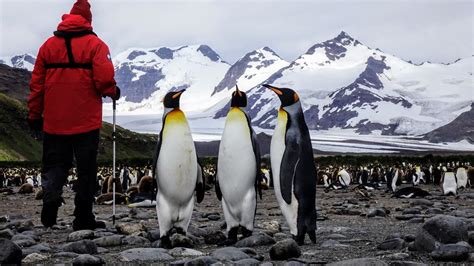 An Antarctica Cruise on Ponant Le Lyrial, a luxury expedition ship ...