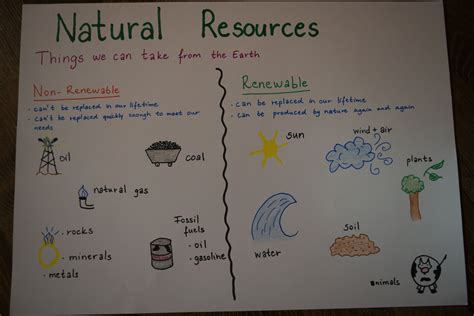 Natural Resources Examples For Kids