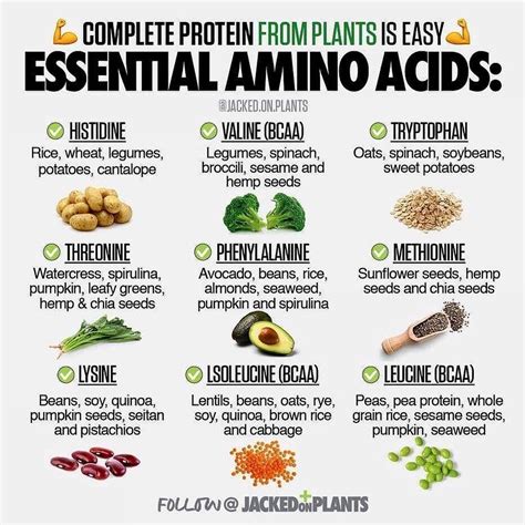 Essential Amino Acids Foods