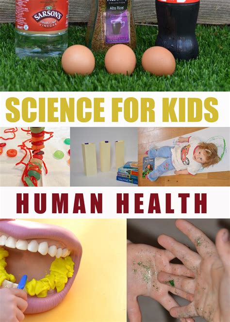 Science Experiments for Key Stage 1 | Key stages, Science for kids, Infant lesson plans