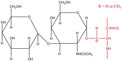 Saccharide Definition and Examples - Biology Online Dictionary