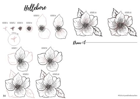 How To Draw A Flower Step By Step With Pictures