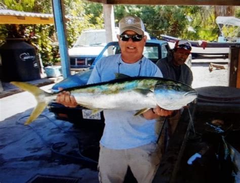 Yellowtail Amberjack Fishing Reports