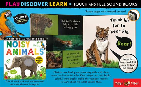 Noisy Animals: Includes Six Sounds!: Walden, Libby, Tiger Tales ...