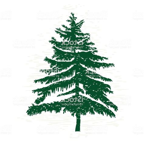 Pine Tree Vector Free at Vectorified.com | Collection of Pine Tree ...