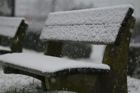 Free stock photo of bench, benches, snow