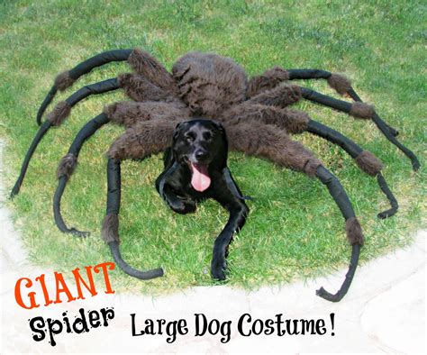 Giant Spider Dog Costume! : 7 Steps (with Pictures) - Instructables