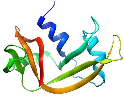 Difference Between RNASE A and RNASE H | Compare the Difference Between Similar Terms